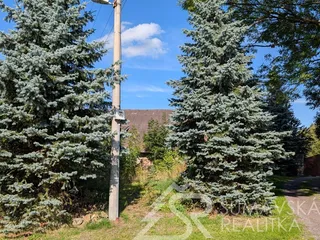 PXL_20250908_133515402.MP.jpg