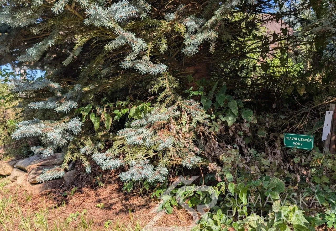 PXL_20250908_133454949.MP.jpg