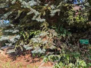 PXL_20250908_133454949.MP.jpg