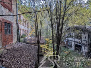 PXL_20251012_141154102.jpg