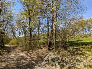 PXL_20260428_133309590.jpg