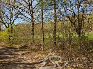 PXL_20260428_133447537.jpg