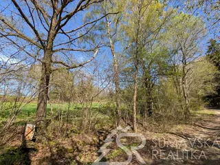 PXL_20260428_133515191.jpg