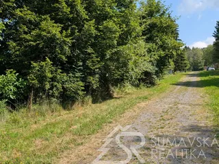 PXL_20260716_091644065.MP.jpg
