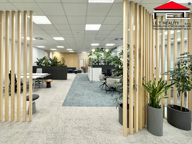 Pronájem kanceláře 342 m²