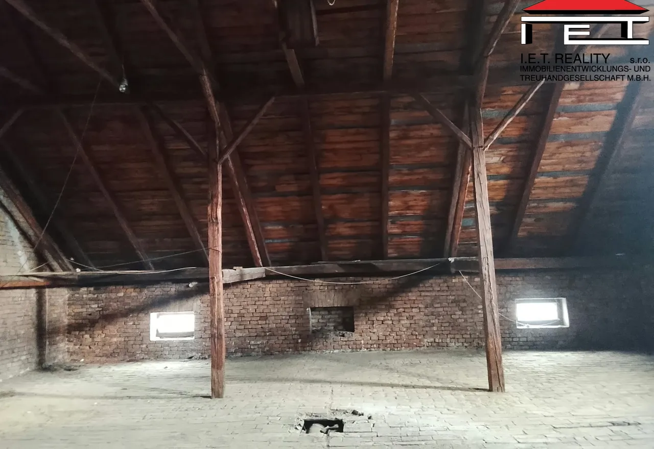 půda