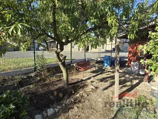 20260907_081918.jpg