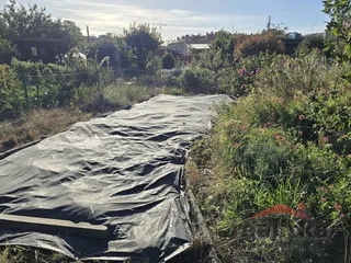 20260907_081840.jpg