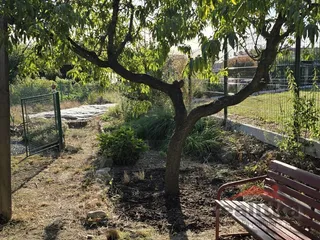 20260907_082016.jpg