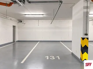 ves1