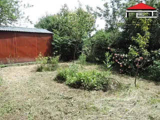 DSCN7725