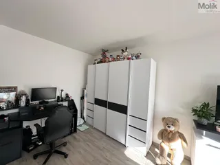 dsfsd
