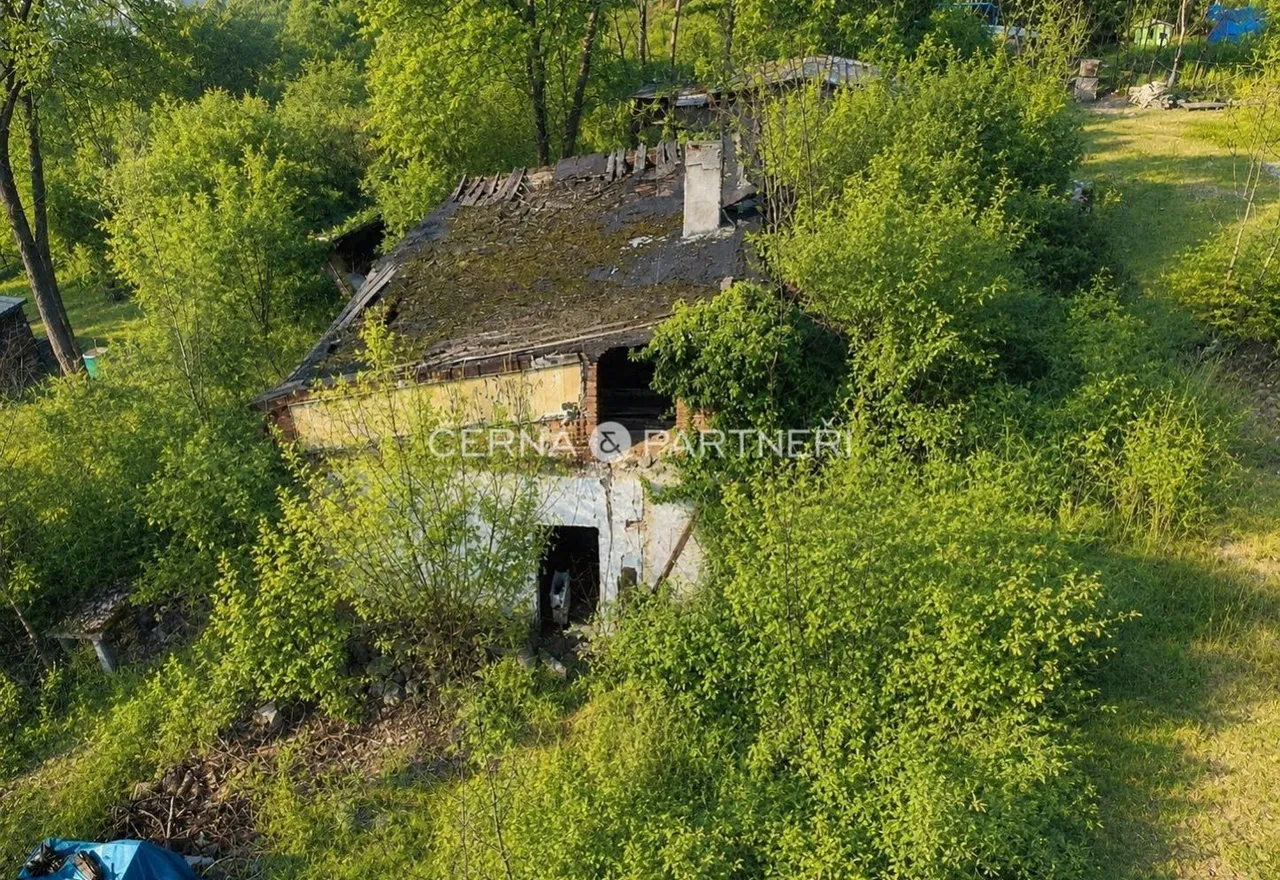 fotografie
