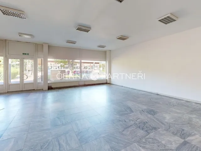 Pronájem obchodního prostoru 319 m²