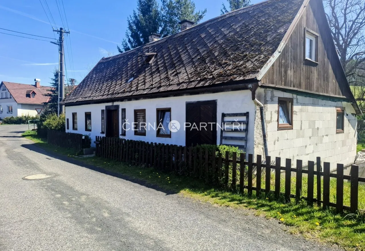 fotografie