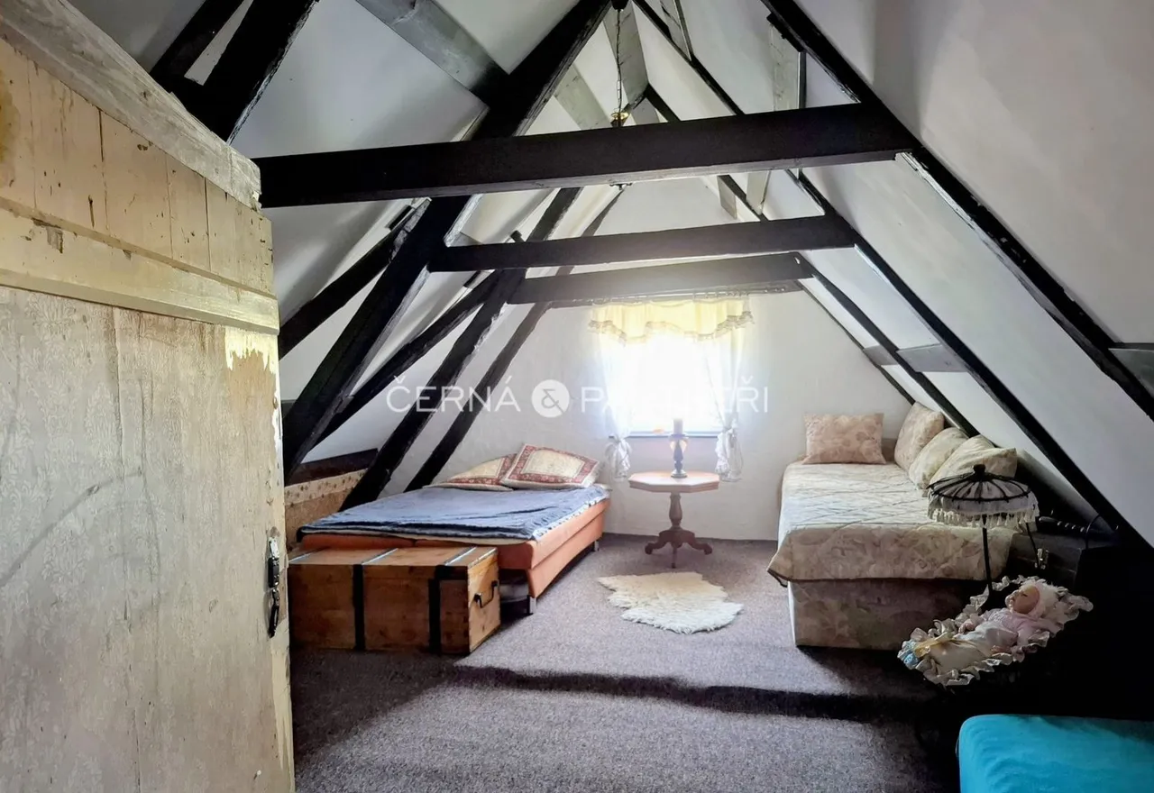 fotografie
