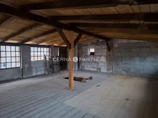 fotografie