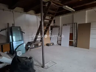 fotografie