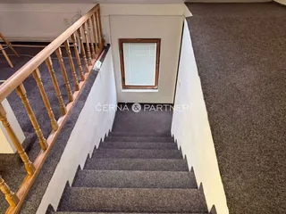 fotografie