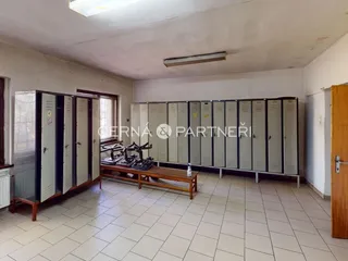 fotografie