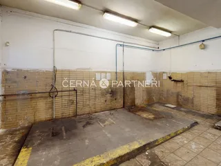 fotografie