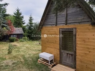 fotografie
