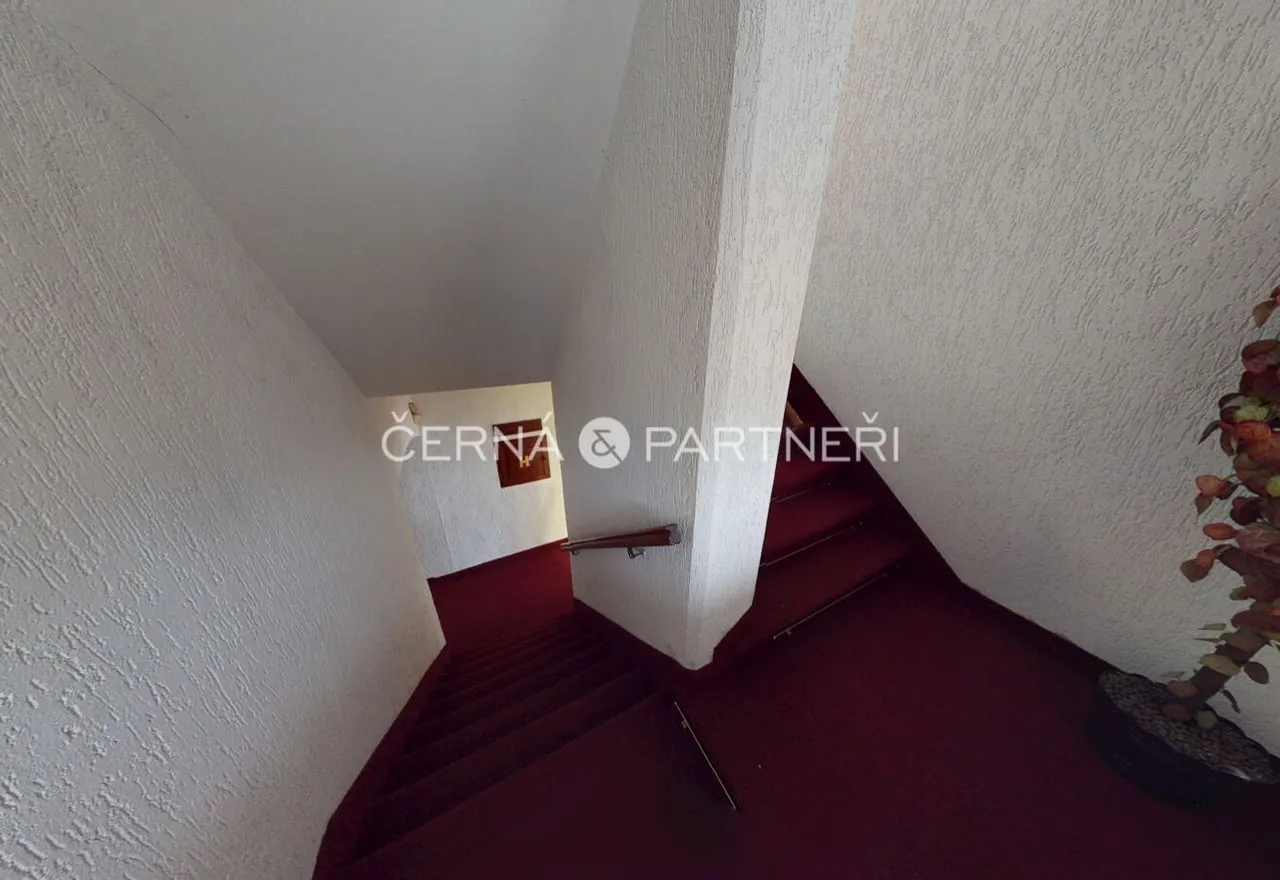 fotografie