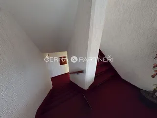 fotografie