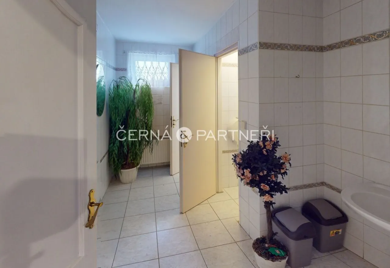 fotografie