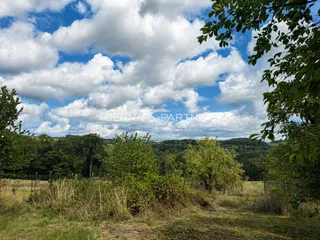 IMG_8131
