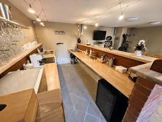 VILA VENEK 08