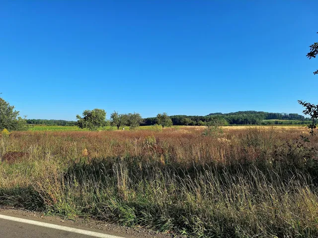 Prodej pole 140 145 m²