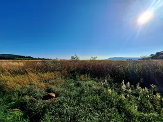 20240908_091159.jpg