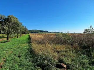 20240908_091209.jpg