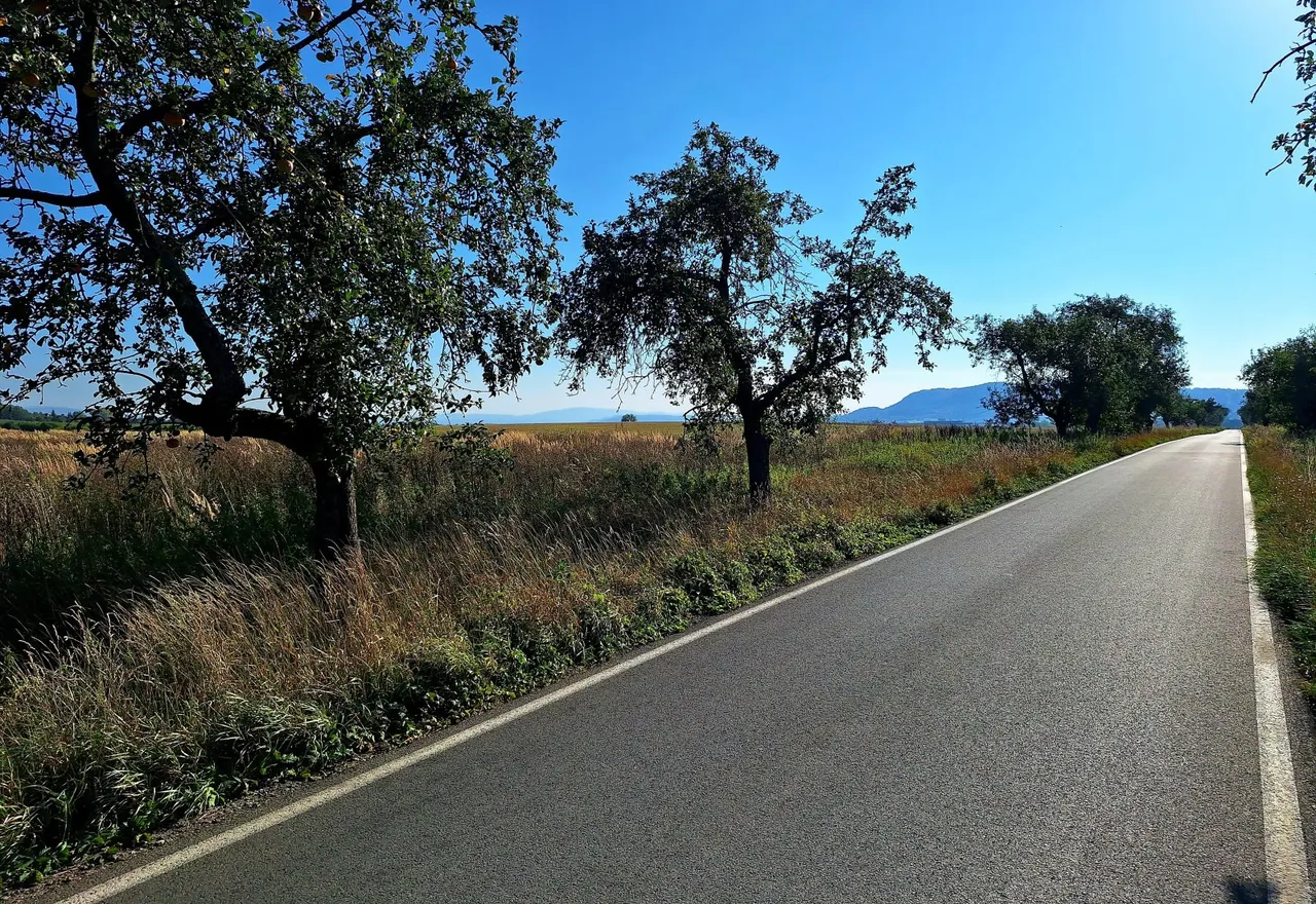 20240908_091448.jpg