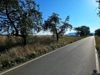 20240908_091448.jpg