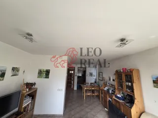 20260314_143817.jpg