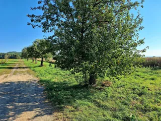 20240908_091230.jpg
