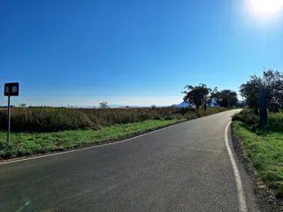 20240908_091247.jpg
