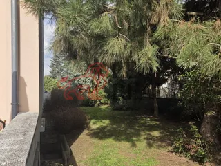 20260314_141324.jpg