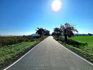 20240908_091346.jpg