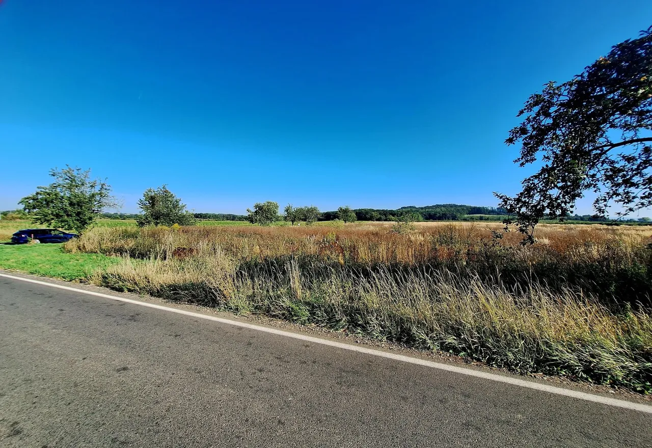 20240908_091431.jpg