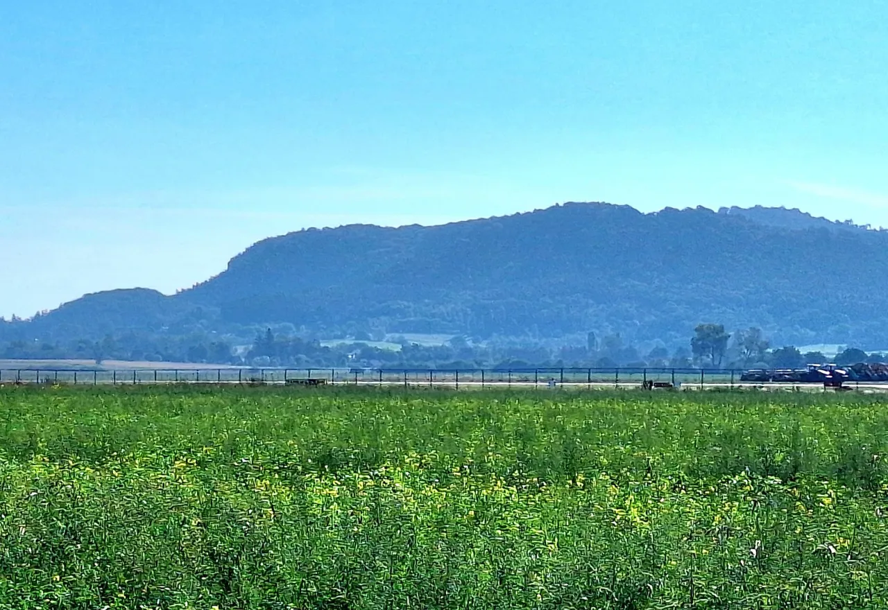 20240908_093307.jpg
