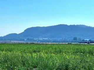 20240908_093307.jpg