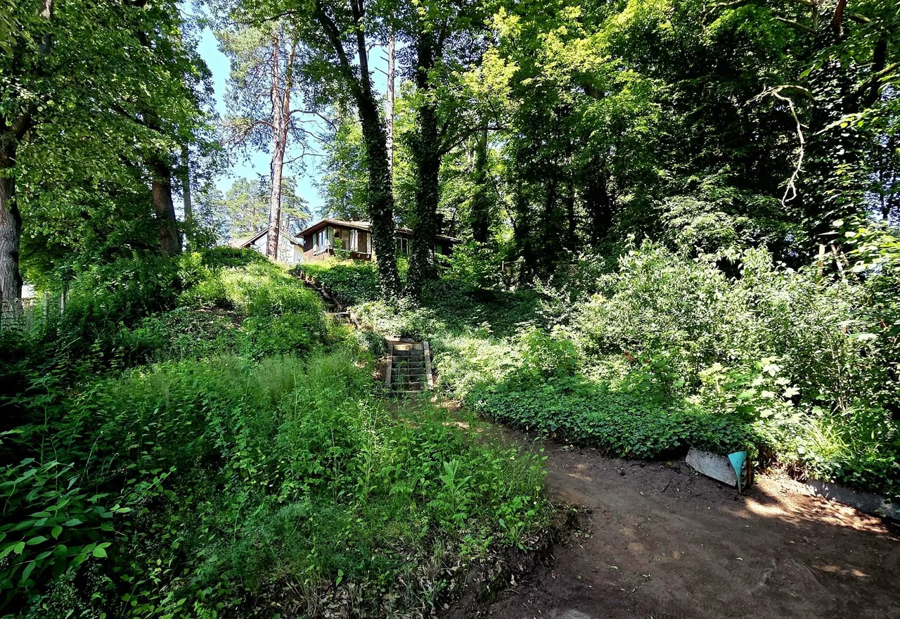 20250613_134549.jpg