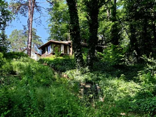 20250613_135012.jpg