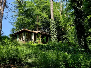 20250613_135153.jpg