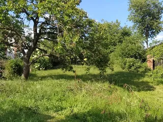 8D1E67FE-91EC-4EAE-A704-A3BF410AA631.jpeg
