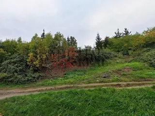 Cestička pozemek foto google.jpg