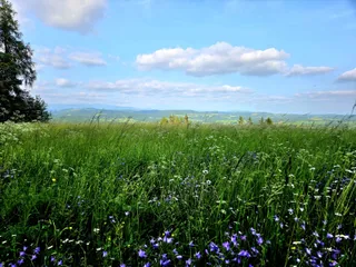 20250611_173135.jpg